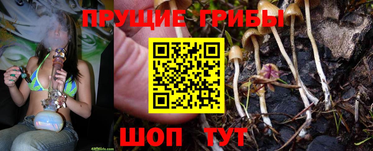 Семёнов  Галлюциногенные грибы прущие грибы  Вход с VPN 