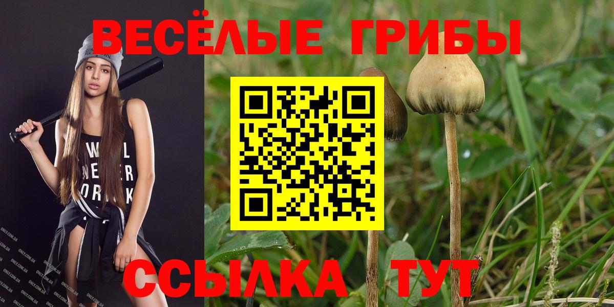 Галлюциногенные грибы Psilocybe Семёнов